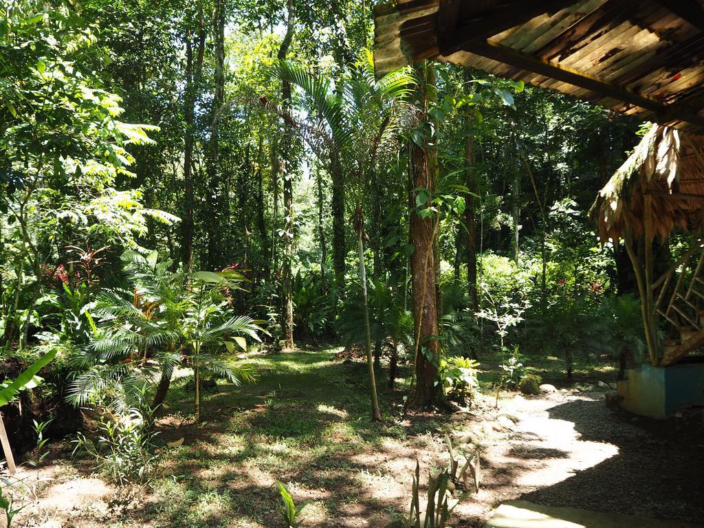 Bed and Breakfast Se Ua Manzanillo  Exterior foto